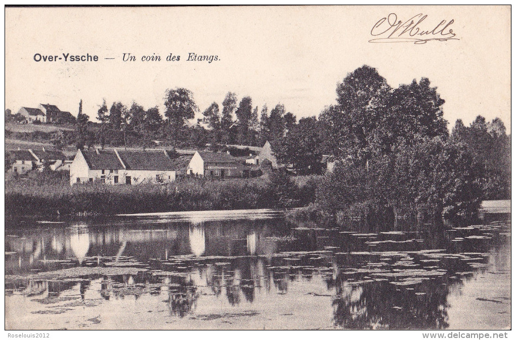 OVERIJSE : Un Coin Des étangs - Overijse