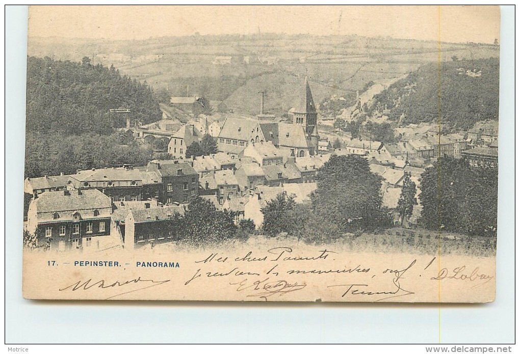 PEPINSTER  -Panorama. - Pepinster