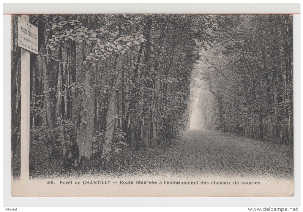 60 - CHANTILLY - La Forêt - Route Réservée à L'entrainement Des Chevaux De Courses - Chantilly