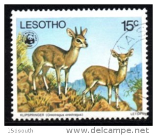 Lesotho - 1977 WWF Endangered Species 15c Klipspringer (o) # SG 332 , Mi 231 - Oblitérés