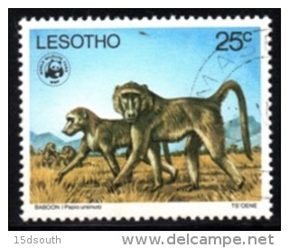 Lesotho - 1977 WWF Endangered Species 25c Baboon (o) # SG 333 , Mi 232 - Gebruikt
