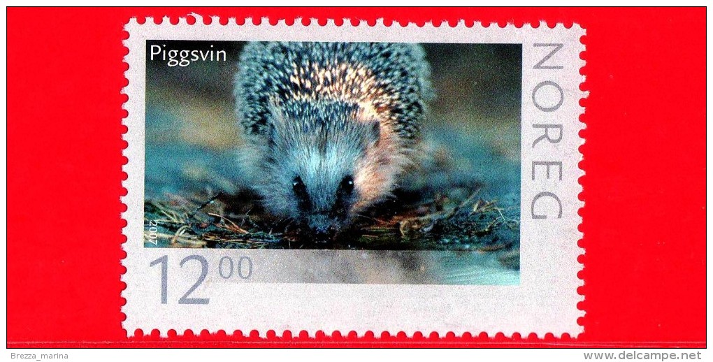 NORVEGIA - NORGE - Innland  - 2007 - Fauna- Ricci - Piggsvin - Hedgehog - Erinaceus Europaeus  - 12.00 - MNH - Unused Stamps