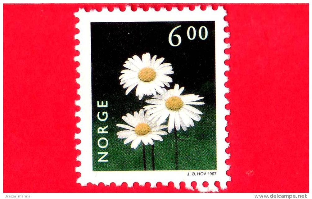 NORVEGIA - NORGE - 1997 - Nuovo - Fiori - Fleurs - Flowers - Crisantema - Oxeye Daisy  - 6.00 - Nuovi