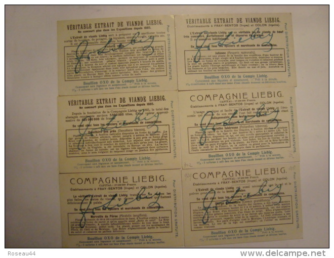 Liebig - Série De 6 Chromos Comme Neufs - S929 - FLEURS DE NUIT - 1908 - (lot 136) - Liebig