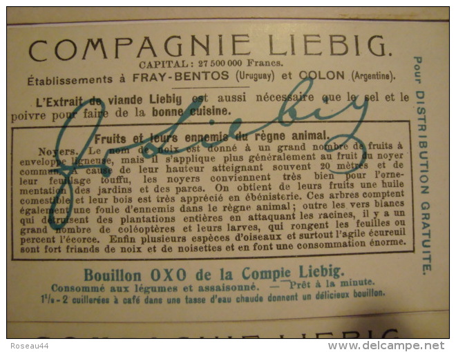Liebig - Série De 6 Chromos Comme Neufs - S931 - Fruits Et Leurs Ennemis Du Règne Animal - 1908 - (lot 137) - Liebig