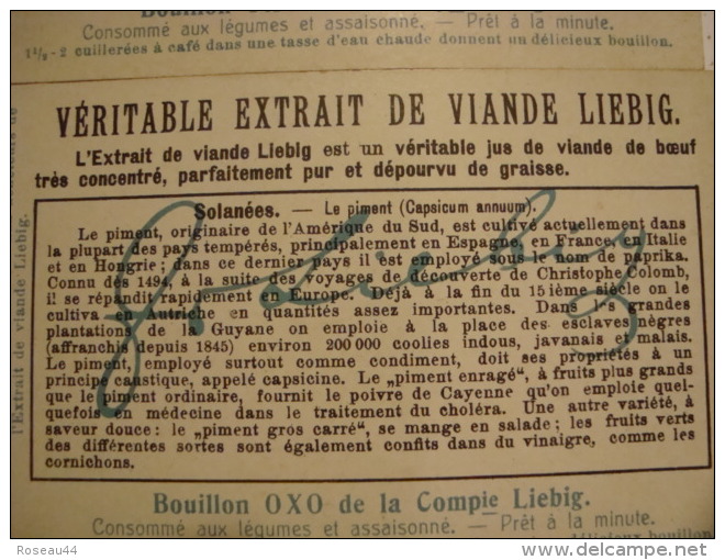 Liebig - Série De 6 Chromos Comme Neufs - S976 -SOLANEES (belladone,tabac,piment,p Ommedterre,tomate) -1909 - (lot 150) - Liebig