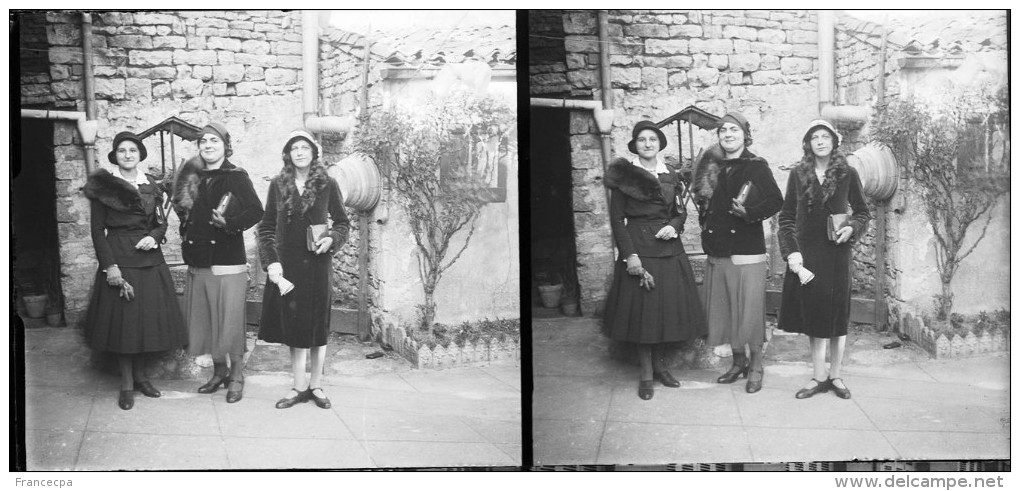 PN 0226 - VIENNE - POITIERS - Jeunes Femmes - Plaques De Verre