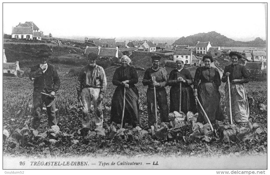 Trégastel Le Diben : Types De Cultivateurs - Autres & Non Classés