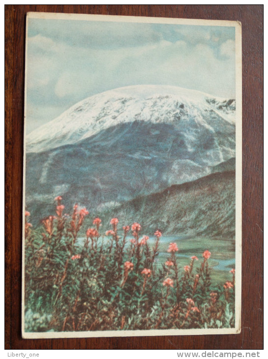 Hoyfjellsflora / Anno 1948 ( Zie/voir Foto Voor Details ) !! - Norvège