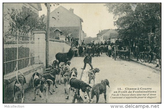 77 BAGNEAUX SUR LOING / La Chasse à Courre En Forêt De Fontainebleau / - Bagneaux Sur Loing