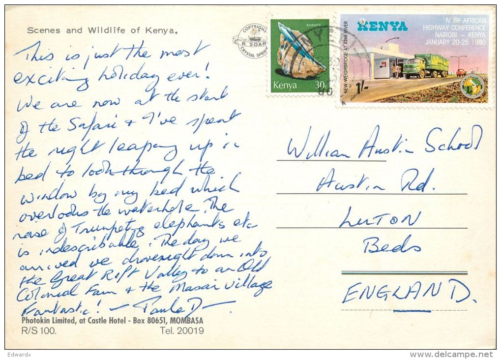 African Wildlife, Kenya Postcard Used Posted To UK 1980 Nice Stamp - Kenya