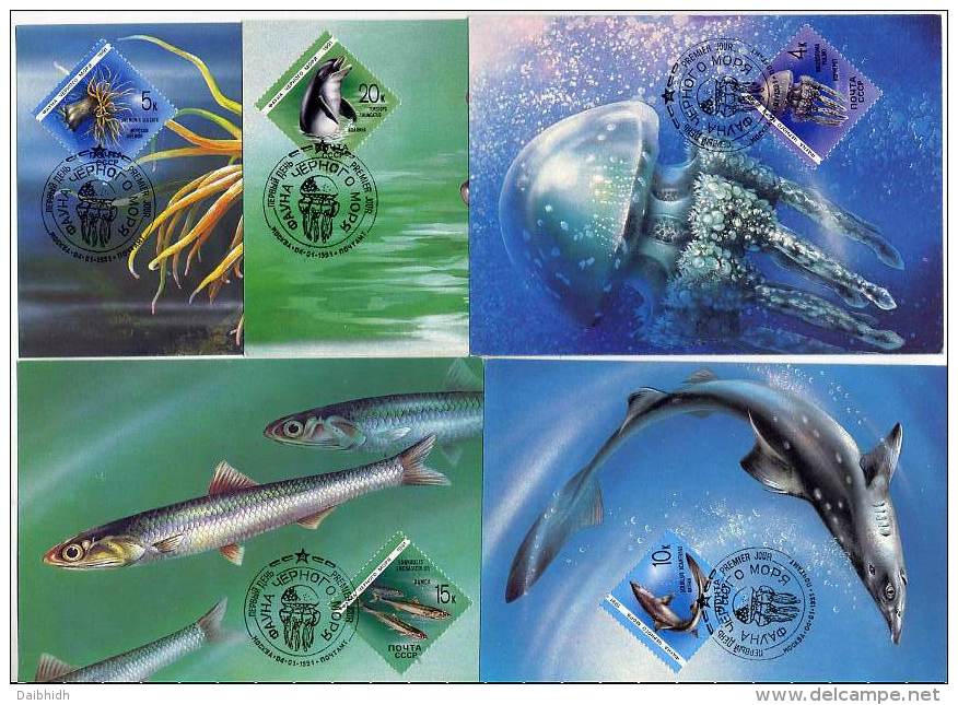 SOVIET UNION 1991 Marine Fauna Set On 5 Maxicards.  Michel 6158-62 - Tarjetas Máxima