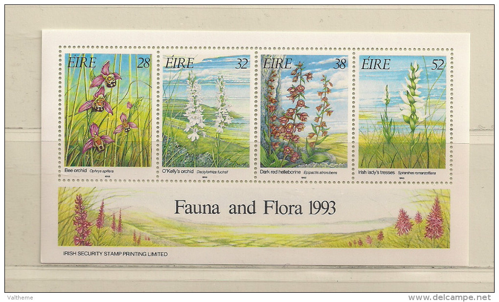 IRLANDE  ( EUIR - 48 )   1993   N° YVERT ET TELLIER    N° 13   N** - Blocchi & Foglietti