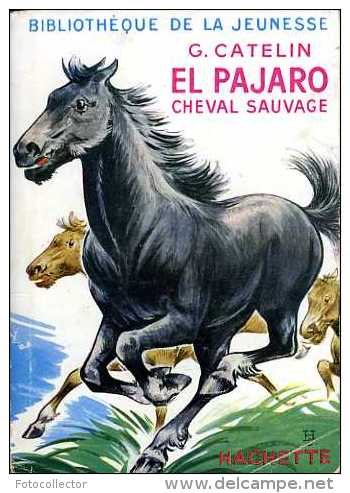 Jeunesse : El Pajaro Cheval Sauvage Par Catelin - Bibliothèque De La Jeunesse