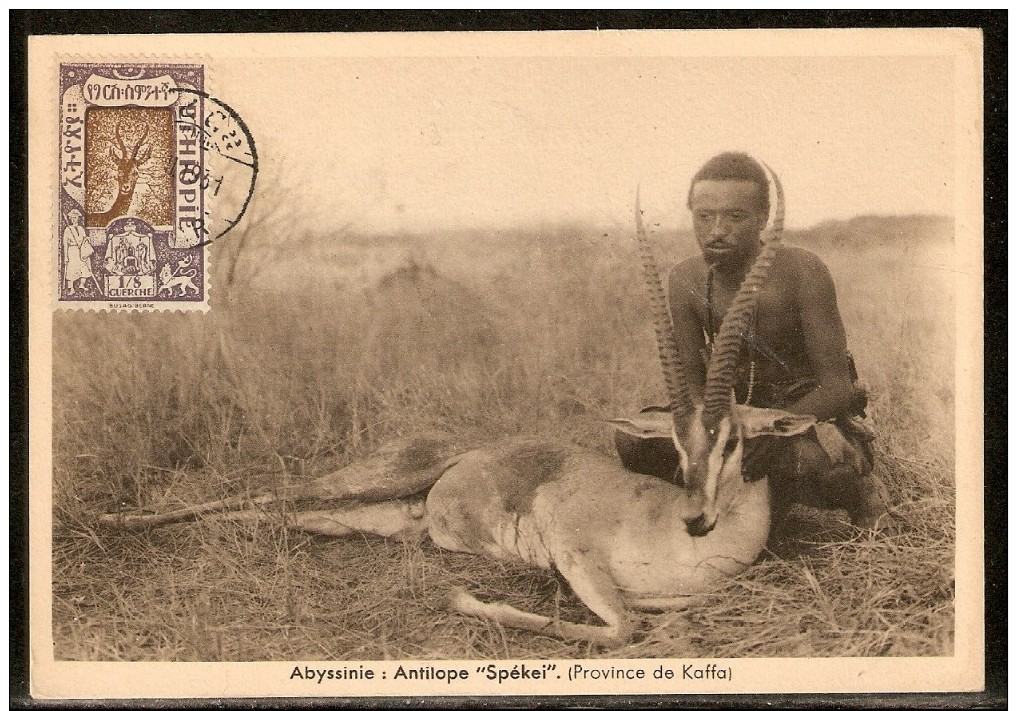 Ethiopie N° 117 Sur Carte Postale Oblitéré De 1931 TB - Etiopia