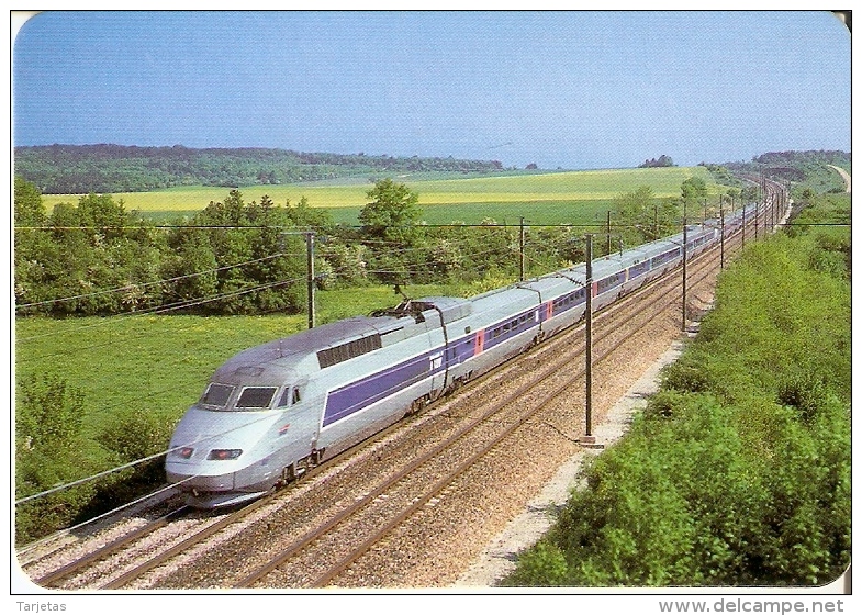 CALENDARIO DEL ESPAÑA DE UN TREN DEL AÑO 2000 (CALENDRIER-CALENDAR) TRAIN-ZUG - Tamaño Pequeño : 2001-...