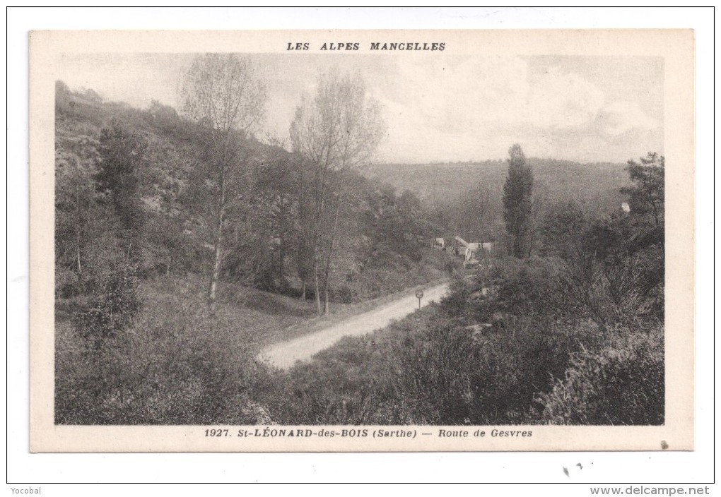 CP, 72, SAINT-LEONARD-des-BOIS, Route De Gesvres, Vierge, Ed : Pavy-Legeard - Saint Leonard Des Bois