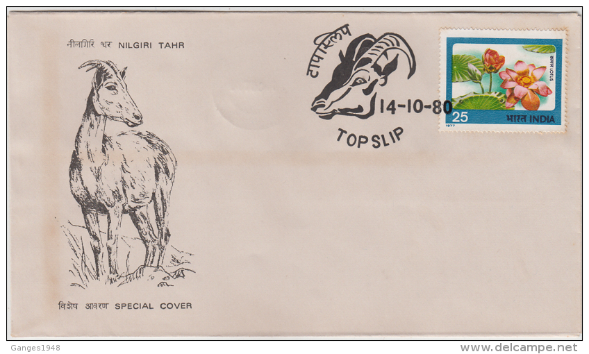 India 1980  Nilgiri Tahr (Mountain Deer)  Topslip Cancellation Cover  # 82297  Inde Indien - Game