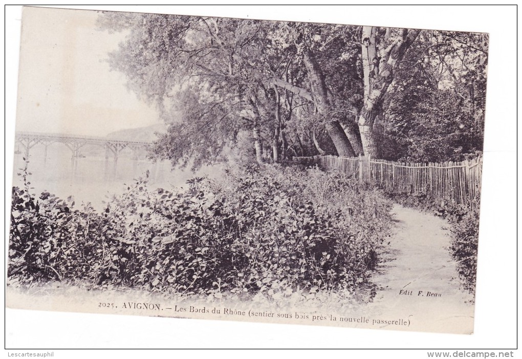 Avignon 1906 Les Bords Du Rhone Sentier Sous Nouvelle Passerelle - Avignon