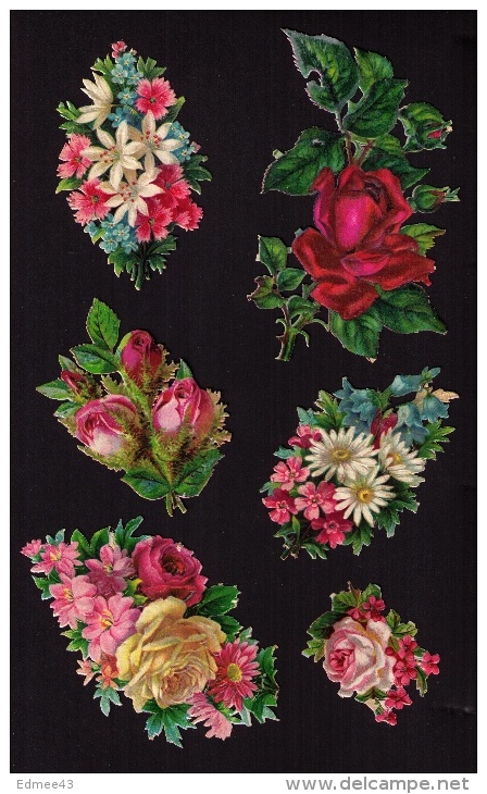 Lot De 6 Jolis Découpis Fin XIXe Siècle, Bouquet De Fleurs (roses, Myosotis, Lys, Marguerites, Etc.) - Bloemen