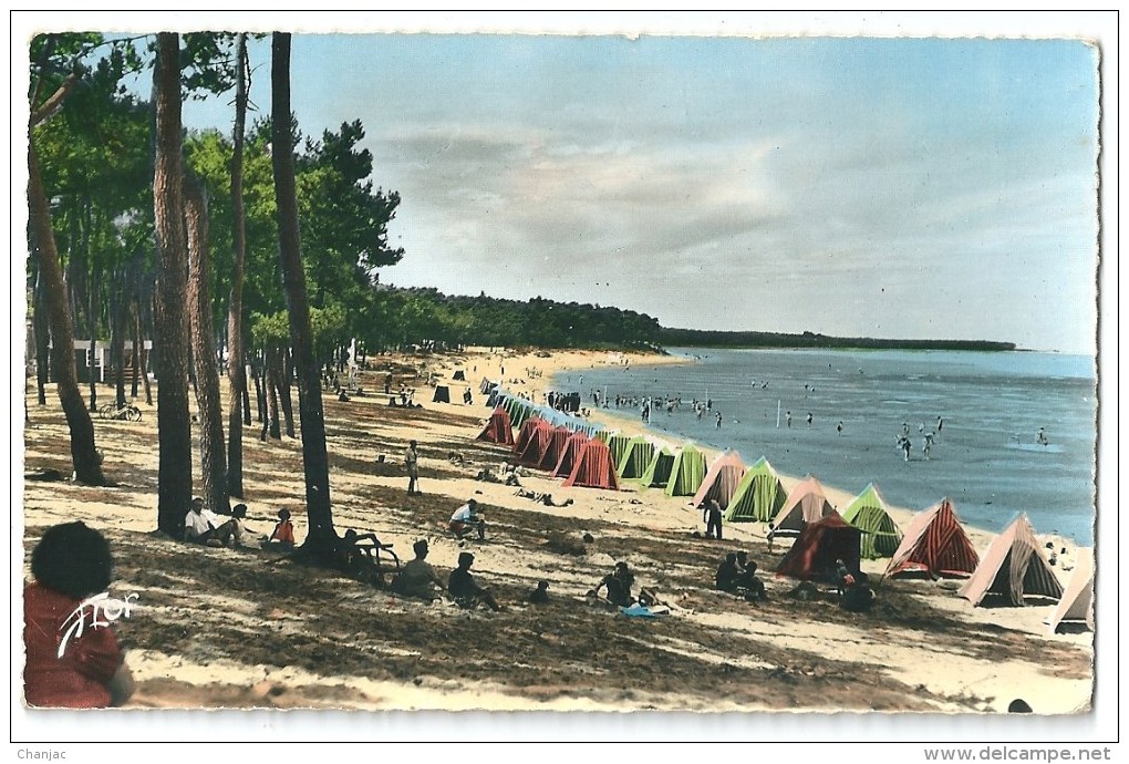 Cpsm: 17 RONCE LES BAINS (c. La Tremblade) La Plage (animée)  N° 6816 - Autres & Non Classés