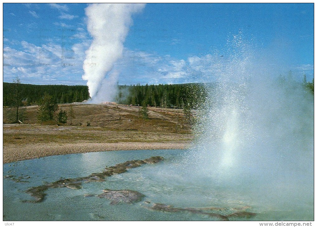 - SAWMILL AND CASTLE GEYSERS - Yellowstonne National Park - Stamp - Scan Verso - - Yellowstone