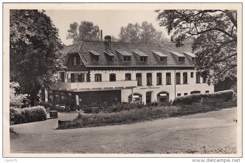 Pays-Bas / Venlo / Hotel Restaurant "De Bovenste Molen" - Venlo