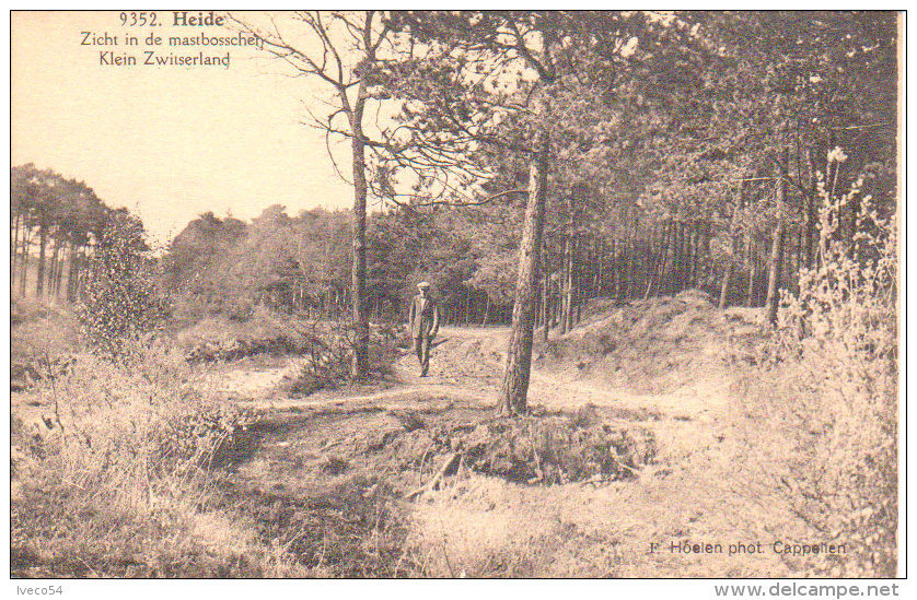 Heide -  Heelsum -Zicht In Demastbosschei  - Klein  Zwisterland  - - Linter