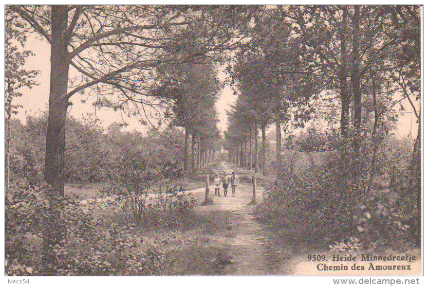 Heide -  Heelsum -  Minnedreefje  - Chemin Des  Amoureux - Klein  Zwisterland  - - Linter