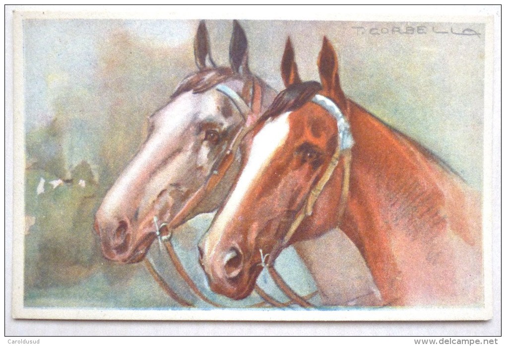 CPA RARE Litho Illustrateur Corbella Duo Tete Cheval Chevaux Harnais Stampa 237 - Corbella, T.