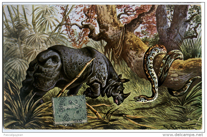 CPA RHINOCEROS ET SERPENT PAR PERLBERG - Rhinoceros