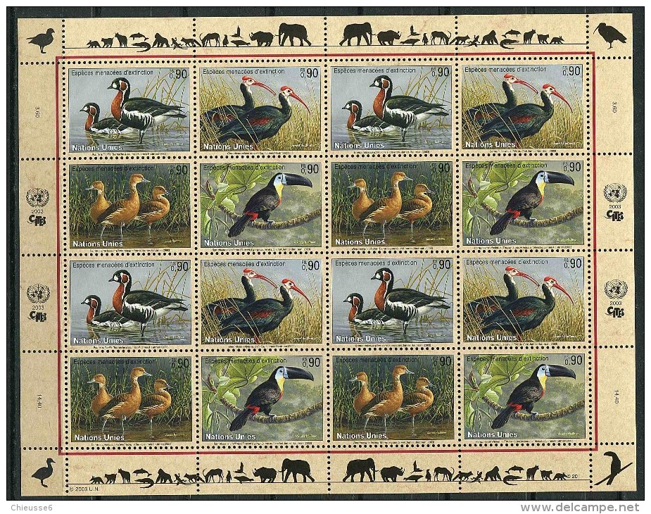 Nations Unies - Genève** N° 478 à 481 En Feuille - Espèces Animales Menacées : Bernarche, Ibis, Dendrocygne, Toucan (XI) - Hojas Y Bloques