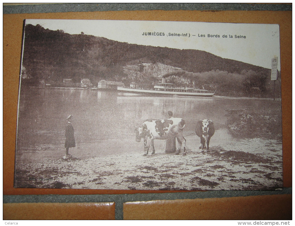 76 JUMIEGES CPA ANIME LES BORDS DE SEINE - Jumieges