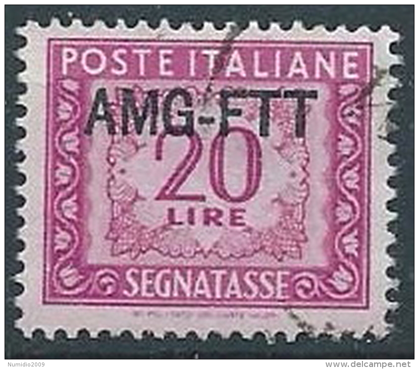 1949-54 TRIESTE A USATO SEGNATASSE 20 LIRE - ED381 - Postage Due