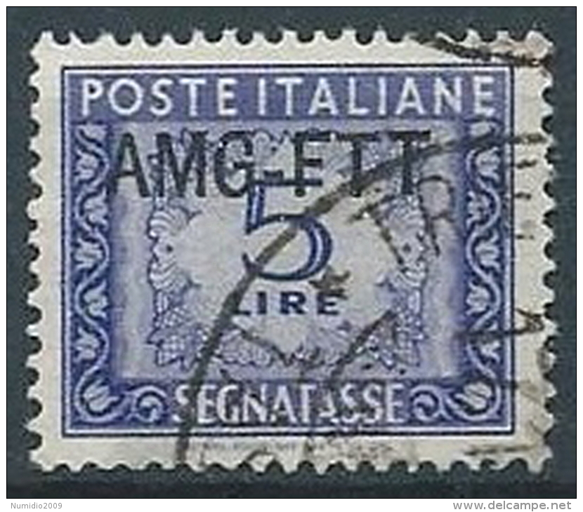 1949-54 TRIESTE A USATO SEGNATASSE 5 LIRE - ED381 - Taxe