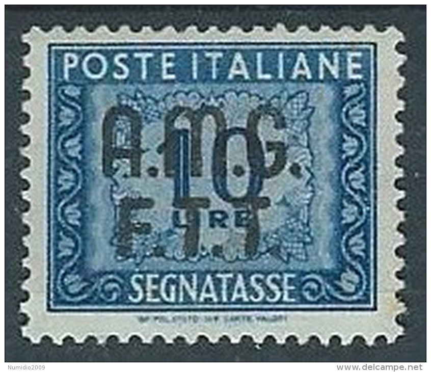 1947-49 TRIESTE A SEGNATASSE 10 LIRE MH * - ED383 - Strafport