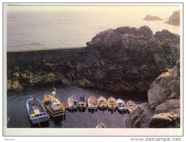 29 Plogoff - Plogon  Le Petit Port De Bestrées  La Pointe Du Raz   TBE - Plogoff