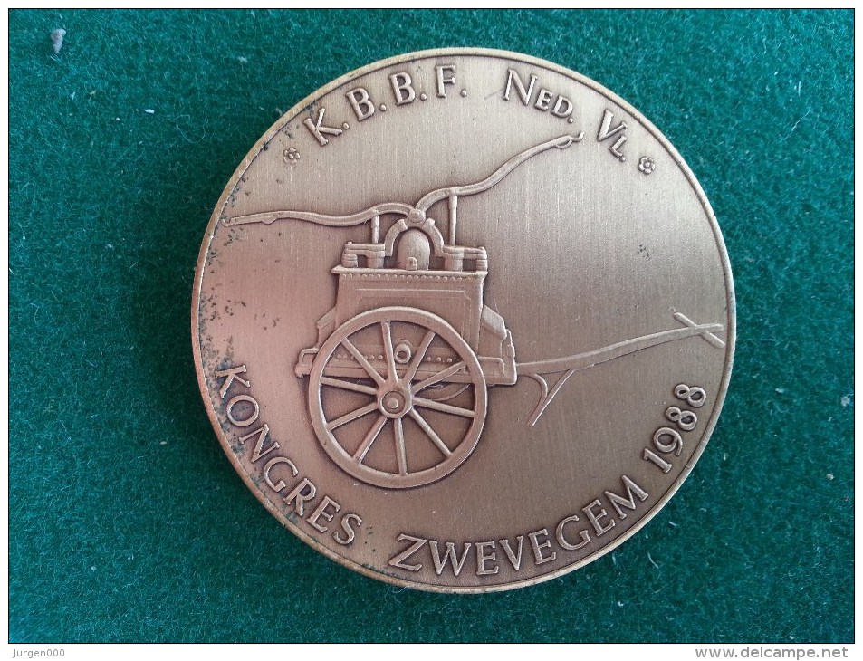 Brandweer, K.B.B.F. Ned. Vl. Kongres Zwevegem, 1988, 33 Gram (medailles0221) - Autres & Non Classés