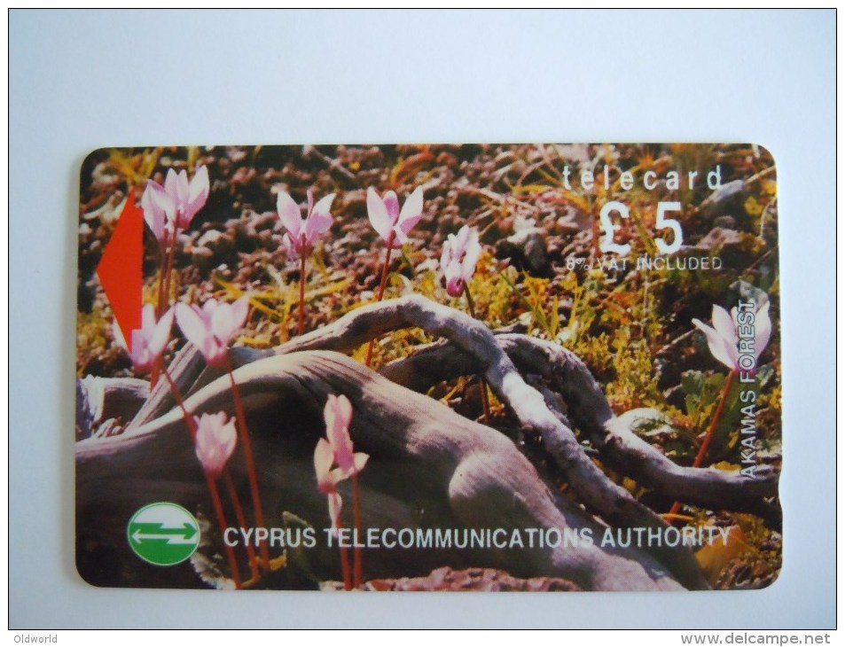 Cyprus Chypre 21CYPB Akamas Forest Plantes Fleurs Cyclames £ 5 Used - Cyprus