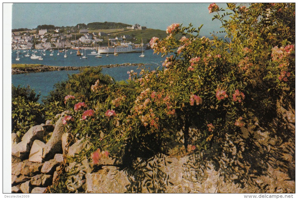 BF13617 The Harbour From Seaways Isles Of Scilly United Kingdom Front/back Image - Scilly Isles