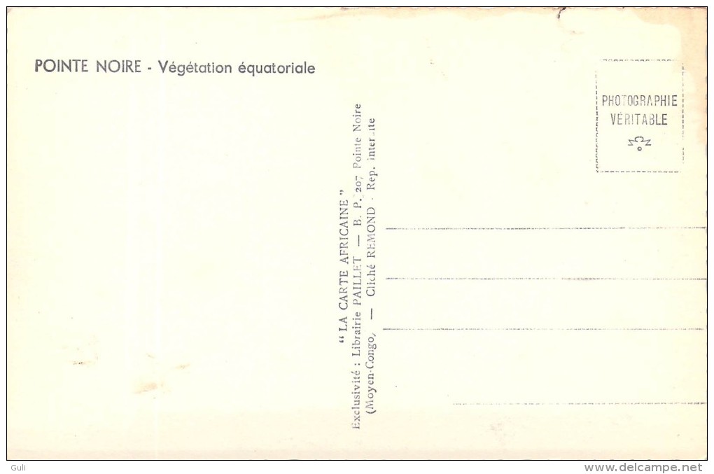 Afrique > Congo - Brazzaville > POINTE NOIRE Végétation équatoriale *PRIX FIXE - Pointe-Noire