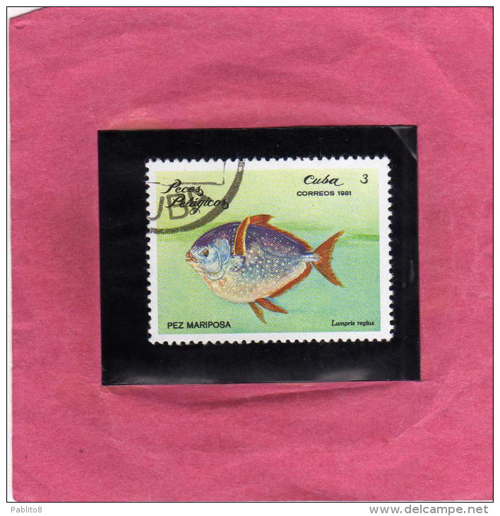 CUBA 1981  FAUNA Animals Fishes MARIPOSA PEZ FISH ANIMALI PESCI PESCE FARFALLA USATO USED - Oblitérés