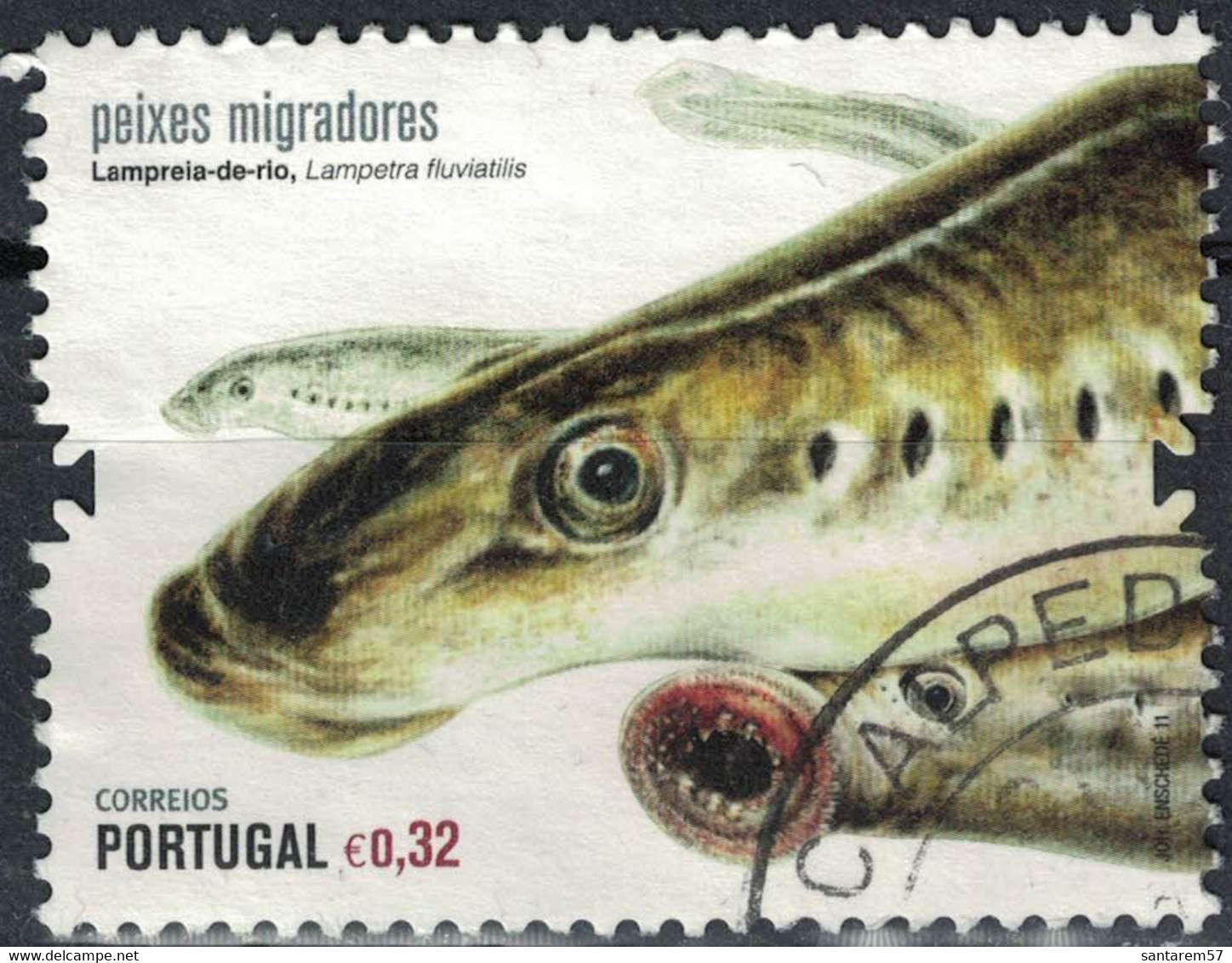 PORTUGAL 2011 Oblitération Ronde Used Stamp Poissons Migrateurs Lampreia De Rio Lampreta Fluviatilis - Gebraucht