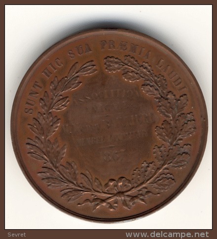 PARIS - Medaille Du Lycée Napoléon Et Du Collège Henri IV .Association Amicale Henri Baillère 1867. Membre Fondateur - Other & Unclassified