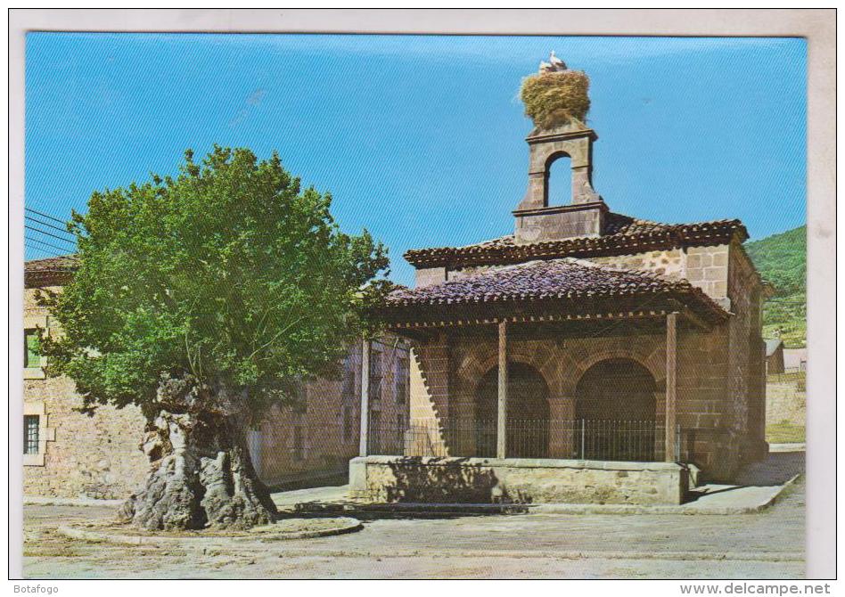 CPM VINUEZA ; ERMITA DE LA SOLEDAD Y OLMO MILENARIO - Soria