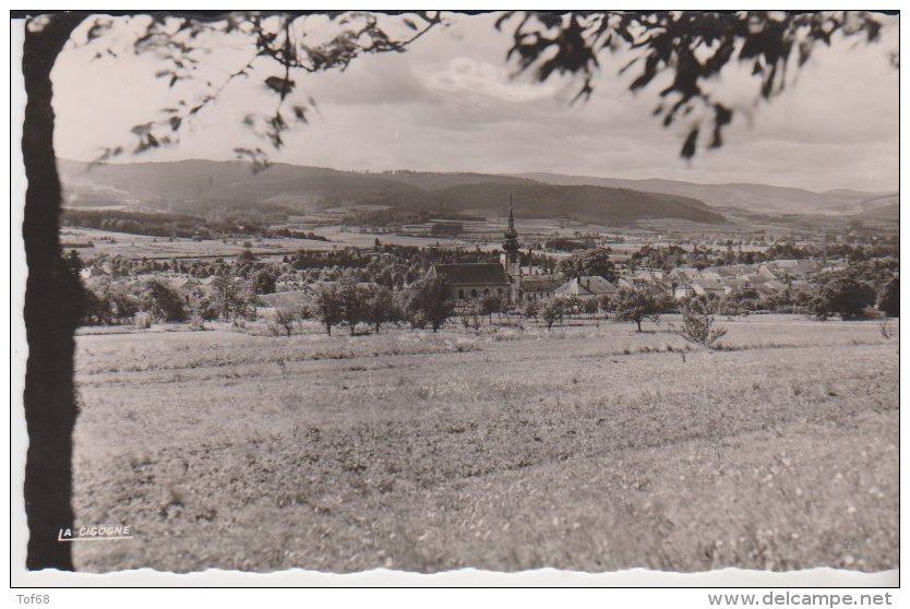 Provenchères Sur Fave Vue Générale - Provencheres Sur Fave