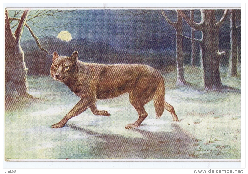 TUCK'S POSTCARD 1910s - WILD ANIMALS - WOLF - N. 3210 - Tuck, Raphael