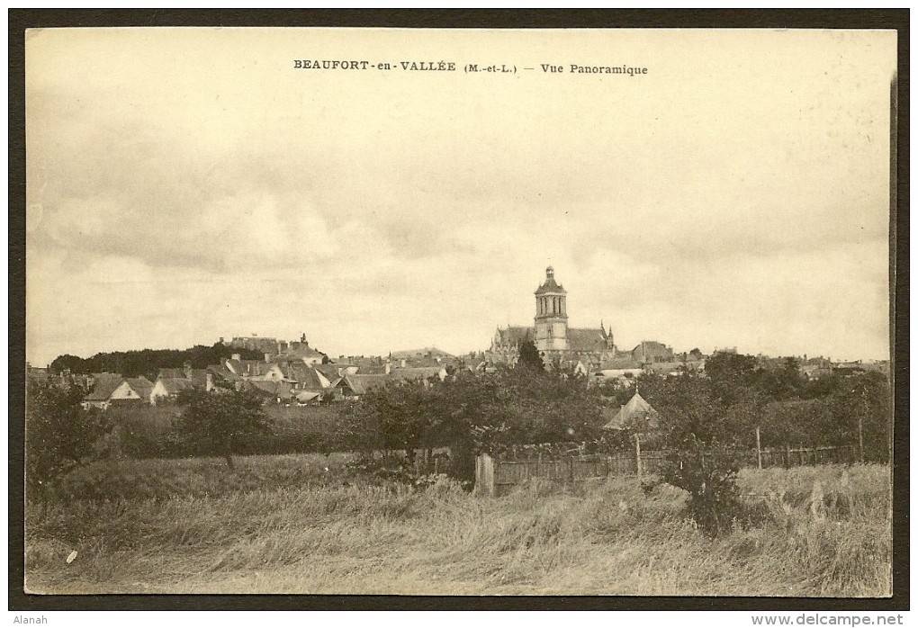 BEAUFORT En VALLEE Rare Vue Panoramique Maine & Loire (49) - Autres & Non Classés