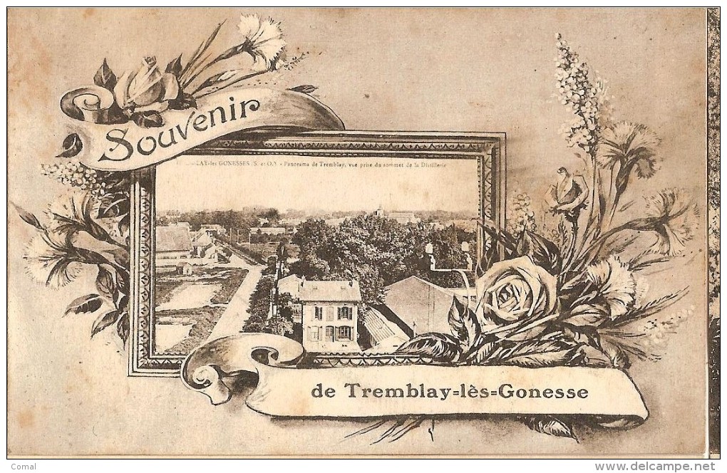 CPA - TREMBLAY LES GONESSE - Souvenir- Panorama Vu Du Sommet De La Distillerie - Tremblay En France