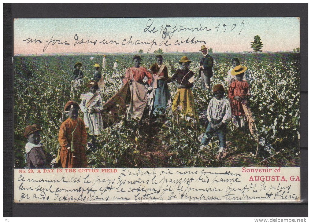 Souvenir Of Augusta - A Day In The Cotton Field - Colorisée - Augusta